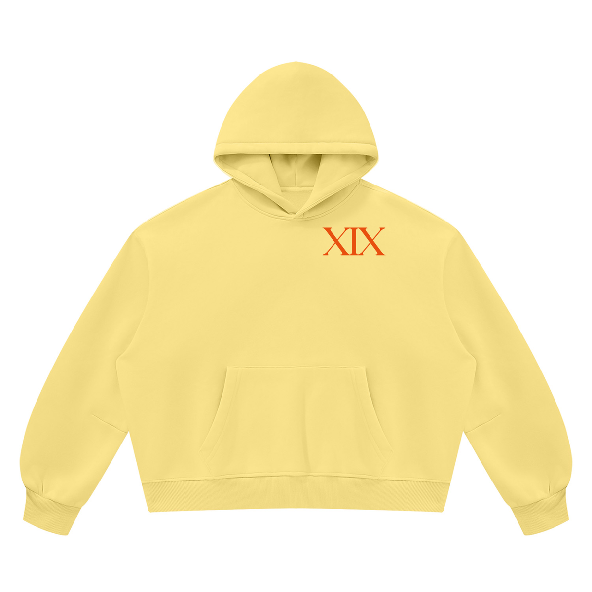 The Sun Vintage Wash Boxy Fleece Hoodie | Brittany Keller Art x Storylines by Sav